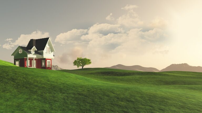 The Pros and Cons of New Builds vs Established Homes in House and Land Packages